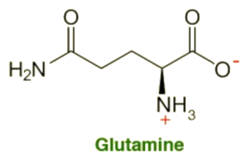 Chemical structure of L-Glutamine